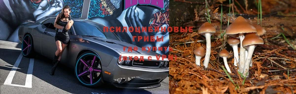круглые Заводоуковск
