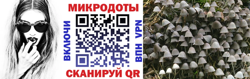 Псилоцибиновые грибы прущие грибы  Купить где  Беслан 