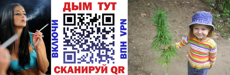 Купить где  Беслан  Бошки Шишки SATIVA & INDICA 